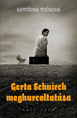 Gerta ​Schnirch meghurcoltatása Book Cover