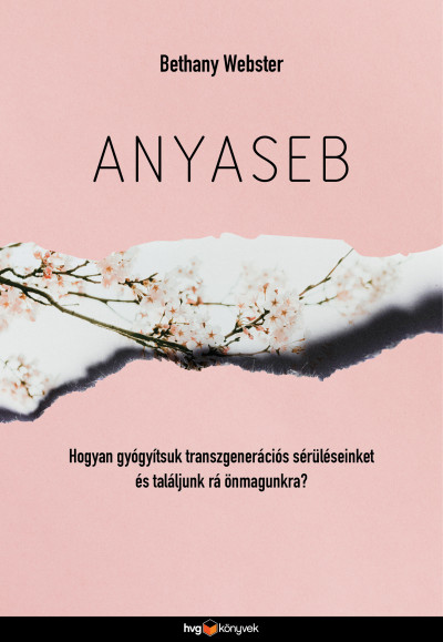 Anyaseb Book Cover