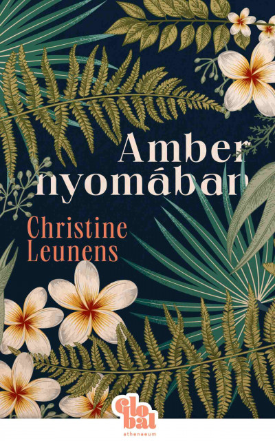 Amber nyomában Book Cover