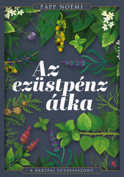 Az ezüstpénz átka Book Cover