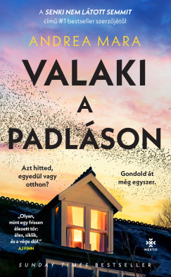 Valaki a padláson Book Cover