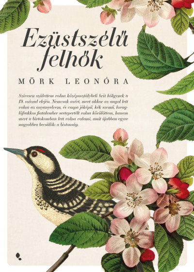 Ezüstszélű felhők Book Cover