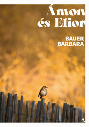Ámon és Elior Book Cover